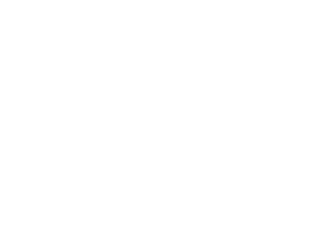 CSE Lcl est